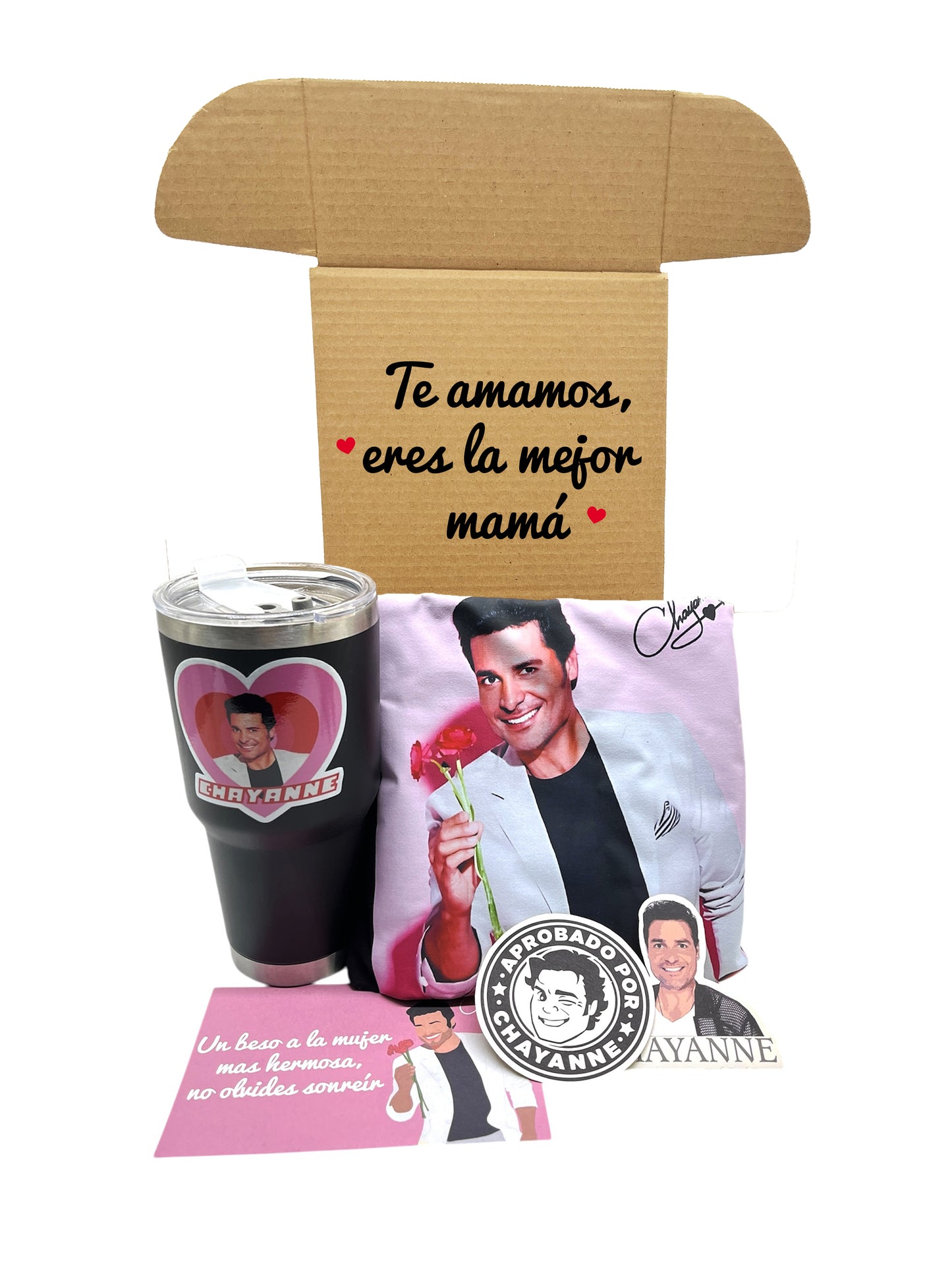 KIT CHAYANNE
