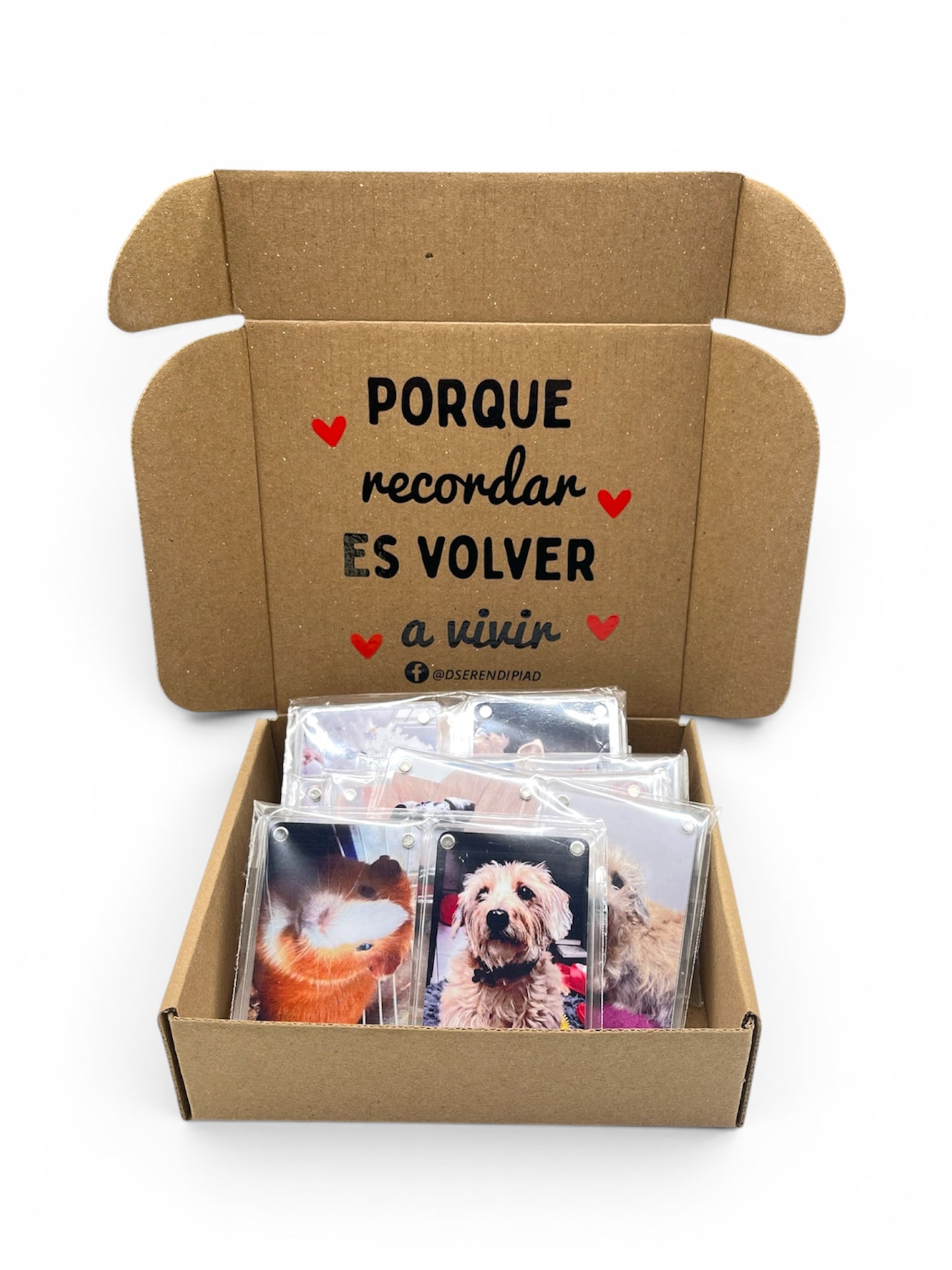 MiniPolaroid Acrílico